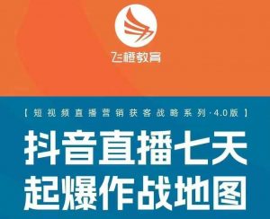 飞橙许茹冰四套PPT资料-淘金日记