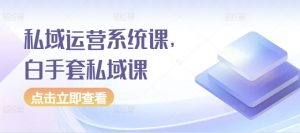 私域运营系统课，白手套私域课-淘金日记