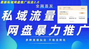 最新暴力私域网盘拉新玩法2.0,多种变现模式,并打造私域回流,轻松日入500+【揭秘】-淘金日记