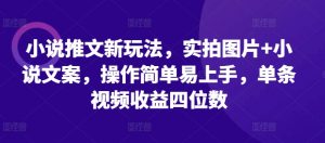 小说推文新玩法，实拍图片+小说文案，操作简单易上手，单条视频收益四位数-淘金日记
