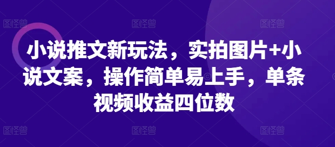 小说推文新玩法,实拍图片+小说文案,操作简单易上手,单条视频收益四位数-淘金日记