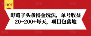 野路子头条撸金玩法,单号收益20~200+每天,项目包落地-淘金日记