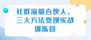 社群流量合伙人，三大方法变现实战训练营-淘金日记