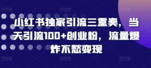 小红书独家引流三重奏,当天引流100+创业粉,流量爆炸不愁变现【揭秘】-淘金日记