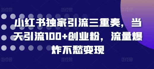 小红书独家引流三重奏,当天引流100+创业粉,流量爆炸不愁变现【揭秘】-淘金日记