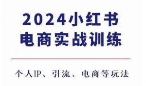 2024小红书电商3.0实战训练，包含个人IP、引流、电商等玩法-淘金日记