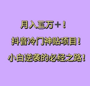 抖音冷门神贴项目,小白逆袭的必经之路,月入过W【揭秘】-淘金日记