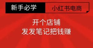 小红书零食共创【新手易上手】开个店铺,发发笔记把钱赚-淘金日记