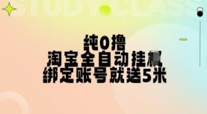 纯0撸,淘宝全自动挂JI,授权登录就得5米,多号多赚【揭秘】-淘金日记