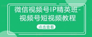 微信视频号IP精英班-视频号短视频教程-淘金日记