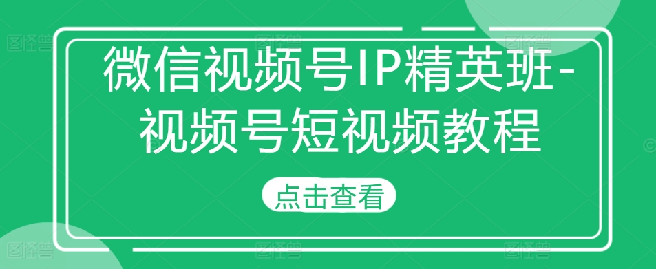 微信视频号IP精英班-视频号短视频教程-淘金日记