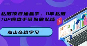 私域项目操盘手，11年私域TOP操盘手带你做私域-淘金日记