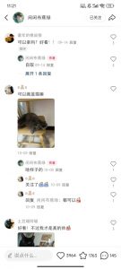 小红书私人定制图项目，附赠一单4W渠道【揭秘】-淘金日记