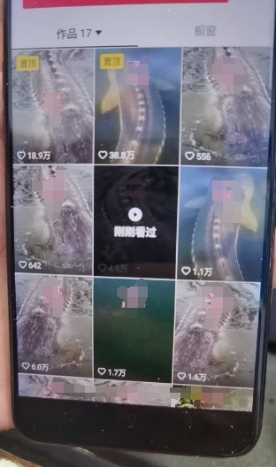 外面卖399的国学佛像原创暴力起号技术，快速起号，7天可达到一个万粉号-淘金日记