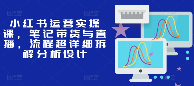 小红书运营实操课,笔记带货与直播,流程超详细拆解分析设计-淘金日记