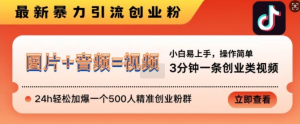 抖音最新暴力引流创业粉,3分钟一条创业类视频,24h轻松加爆一个500人精准创业粉群【揭秘】-淘金日记