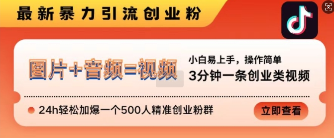 抖音最新暴力引流创业粉，3分钟一条创业类视频，24h轻松加爆一个500人精准创业粉群【揭秘】-淘金日记