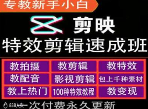 剪映特效教程和运营变现教程,特效剪辑速成班,专教新手小白-淘金日记