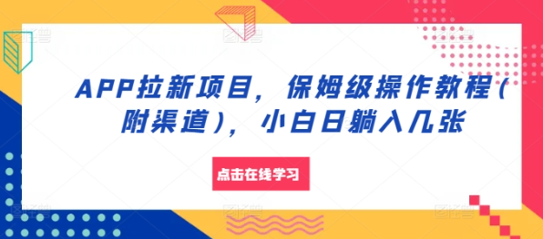 APP拉新项目,保姆级操作教程(附渠道),小白日躺入几张【揭秘】-淘金日记
