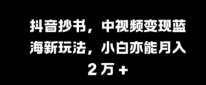 抖音抄书，中视频变现蓝海新玩法，小白亦能月入 过W【揭秘】-淘金日记
