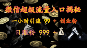 微信超级流量入口揭秘:一小时引流 99 + 创业粉,日涨粉 999 +-淘金日记