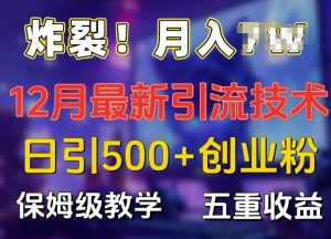 炸裂!揭秘12月最新日引流500+精准创业粉,多重收益保姆级教学-淘金日记