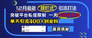 12月最新“摆烂式”引流打法,突破平台私信限制,一天无限发私信,单天引流400+创业粉-淘金日记