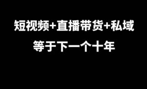 短视频+直播带货+私域等于下一个十年,大佬7年实战经验总结-淘金日记
