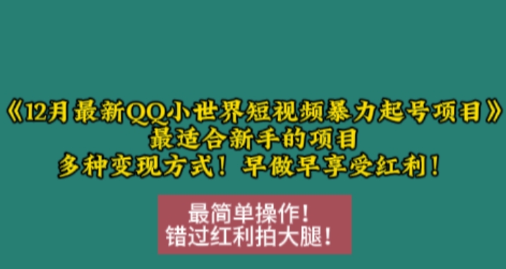 12月最新QQ小世界短视频暴力起号项目，最适合新手的项目，多种变现方式-淘金日记