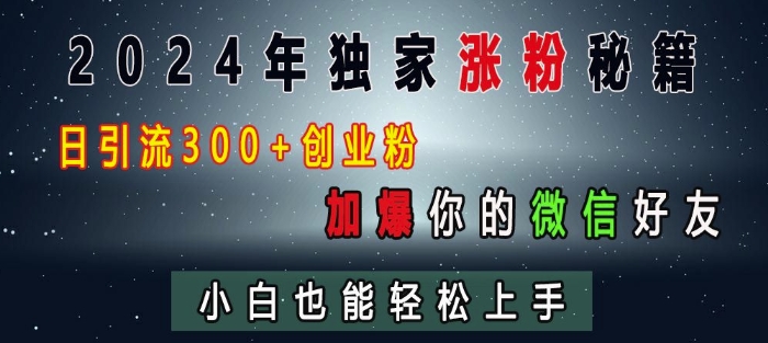2024年独家涨粉秘籍,日引流300+创业粉,加爆你的微信好友,小白也能轻松上手-淘金日记