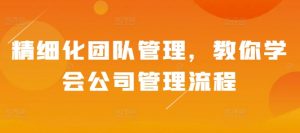 精细化团队管理,教你学会公司管理流程-淘金日记