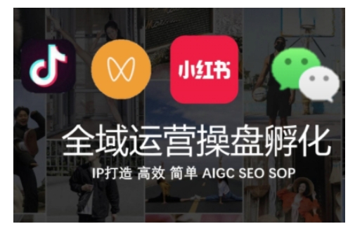 全域运营操盘(抖音+私域+小红书),IP打造高效简单-淘金日记