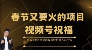 春节又要火的项目视频号祝福，分成计划+带货双收益，轻松月入几个W【揭秘】-淘金日记