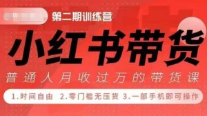 小Red书带货42天训练营 2.0版,宝妈+自由职+上班族+大学生,提高副业收入的大红利项目-淘金日记