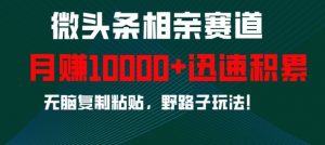 微头条相亲赛道，迅速积累，无脑复制粘贴，野路子玩法，月入1w-淘金日记