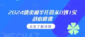2024速卖通半托管从0到1实战必修课，掌握通投广告打法、熟悉速卖通半托管的政策细节-淘金日记