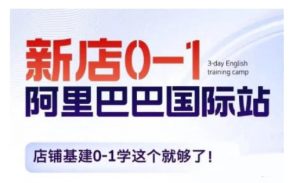 阿里巴巴国际站新店0-1，店铺基建0-1学这个就够了-淘金日记