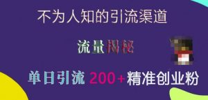 不为人知的引流渠道,流量揭秘,实测单日引流200+精准创业粉【揭秘】-淘金日记