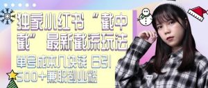 最新小红书截流玩法 独家截中截 单号成本几块钱 日引500+CY粉JZ粉-淘金日记