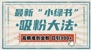 最新自动化“吸粉术”,小绿书激活私域流量,每日轻松吸引300+高质精准粉!-淘金日记