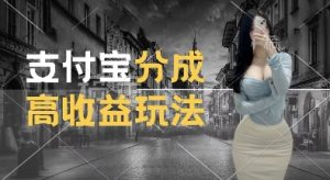 支付宝分成计划新玩法,利用交通事故视频,赚收益,轻松月入过W,操作简单【揭秘】-淘金日记