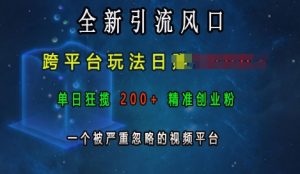 全新引流风口,跨平台玩法日入上k,单日狂揽200+精准创业粉,一个被严重忽略的视频平台-淘金日记