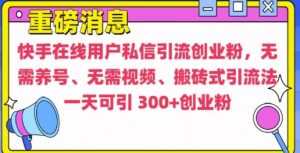快手最新引流创业粉方法,无需养号、无需视频、搬砖式引流法【揭秘】-淘金日记