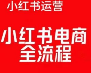 红薯电商实操课，小红书电商全流程-淘金日记