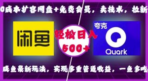 0成本扩容网盘+免费会员，卖技术，拉新，咸鱼最新玩法，实现多重管道收益，一鱼多吃，轻松日入500+-淘金日记