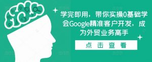 学完即用,带你实操0基础学会Google精准客户开发,成为外贸业务高手-淘金日记