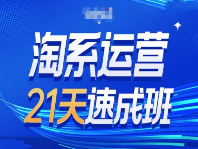 淘系运营21天速成班第34期-搜索最新玩法和25年搜索趋势-淘金日记