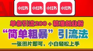 12月底小红书”简单粗暴“引流法,单条引流200+精准创业粉-淘金日记