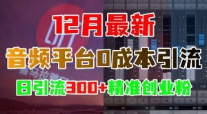 12月最新:音频平台0成本引流,日引流300+精准创业粉-淘金日记