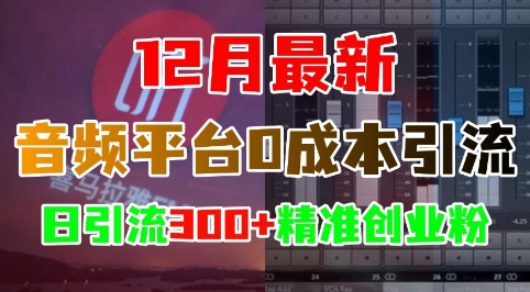 12月最新:音频平台0成本引流,日引流300+精准创业粉-淘金日记